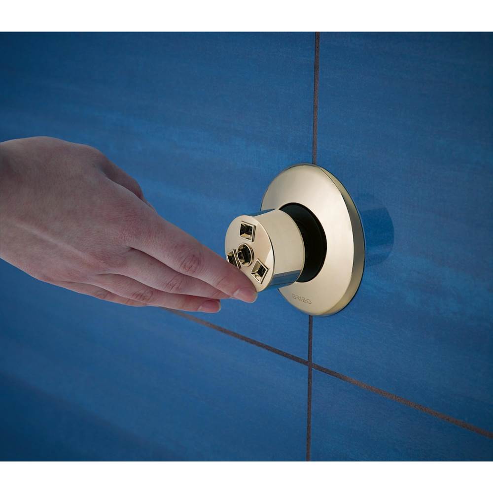 Other Hydrachoice H2Okinetic<sup></sup> Massaging Spray Head