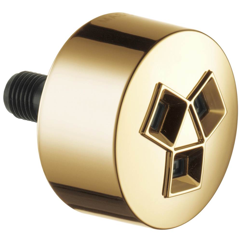 Brizo - Other Hydrachoice H2Okinetic<sup></sup> Invigorating Spray Head - Polished Gold