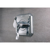 Virage Tempassure Thermostatic Valve Only Trim