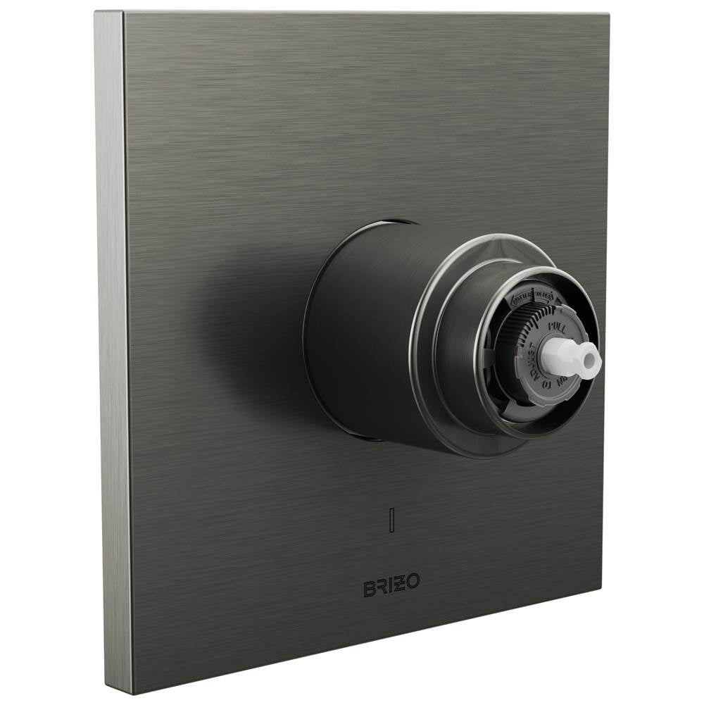 Brizo - Frank Lloyd Wright Pressure Balance Valve Only Trim - Less Handle - Luxe Steel