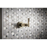 Litze Sensori Volume Control Trim - Industrial Lever