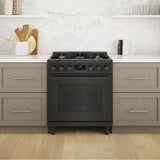 Dual Fuel Freestanding Range