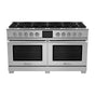 BlueStar - 60'' Dual Fuel Range