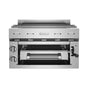 BlueStar - 24'' Countertop Salamander - Stainless Steel