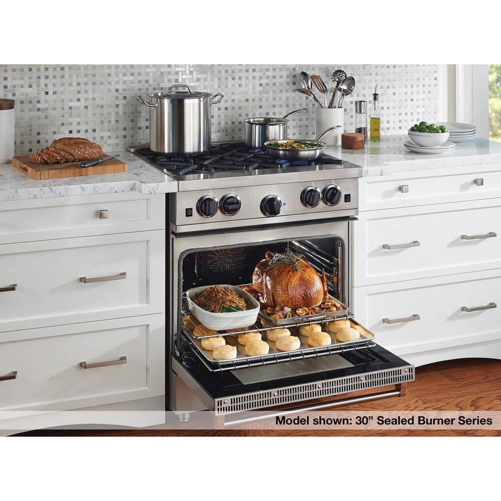 24'' Culinary Series (Rcs) Sealed Burner Range - (4) Burners
