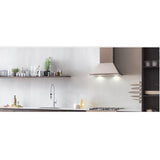 Chimney Hood, 24'', 1 Motor, 600 cfm
