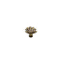 Carpe Diem Hardware - Aphrodite Medium Shell Knob - Chalice