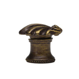 Aphrodite Small Shell Knob