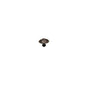 Carpe Diem Hardware - Vortice Large Round Knob - Chalice