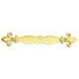 Carpe Diem Hardware - Charlemagne Large Escutcheon w/ Large Fleur De Lys On Ends - Soft Gold