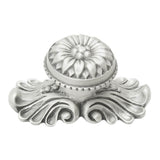 Carpe Diem Hardware - Acanthus Large Knob With Flared Foot Rosette Style With Medium Backplate In Satin. - Satin