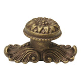 Acanthus Large Knob w/ Flared Foot Rosette Style w/ Medium Backplate