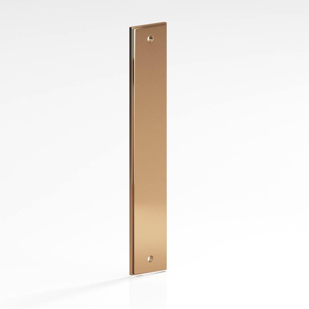 Colonial Bronze - 10'' center-to-center, 11'' overall, 1.5'' Rectangular, stepped Backplate for use with 1/4-20 screws hand finished in Polished Bronze - Polished Bronze