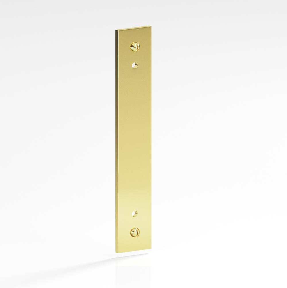 Colonial Bronze - 8'' center-to-center, 10'' overall, 1'' Rectangular Backplate with exposed, finished screws for use with 8-32 screws hand finished in Polished Brass - Polished Brass