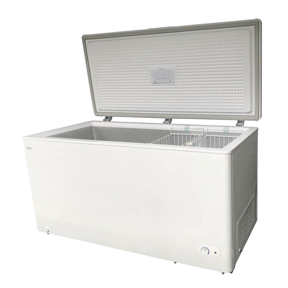 Chest Freezer