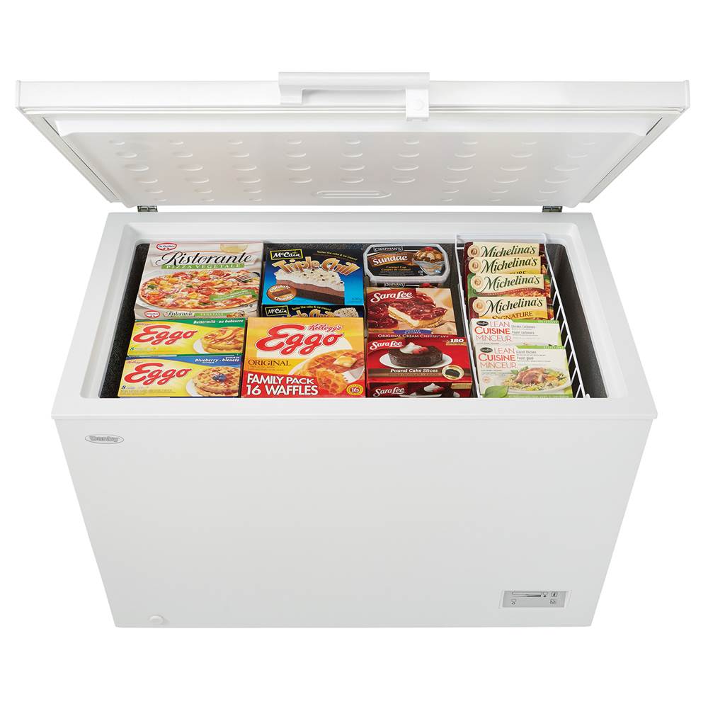 Chest Freezer