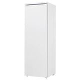 Upright Freezer
