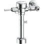 Delta Commercial - Commercial 81T: Flush Valve with Trap Seal Primer - Exposed - Chrome