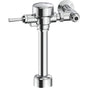 Delta Commercial - Commercial 81T: Flush Valve - Exposed - Chrome