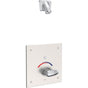 Delta Commercial - Commercial 860T: Electronic Shower Trim with Push Button Activator- Battery - Chrome