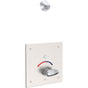 Delta Commercial - Commercial 860T: Push Button Electronic Shower System - Chrome