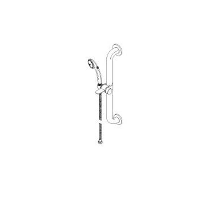Delta Commercial - Commercial HDF: Single-Setting Hand Shower w/ Grab Bar - Stainless And White