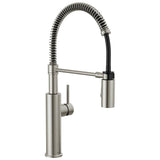 Delta Faucet - AntoniE Single-Handle Pull-Down Spring Kitchen Faucet - Spotshield Stainless