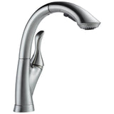 LindenE Single Handle Pull-Out Kitchen Faucet