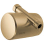 Delta Faucet - ClarifiE Standard Shower Filter Attachment - Champagne Bronze