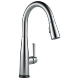 Essa Single Handle Pull-Down Kitchen Faucet with Touch<sub>2</sub>O Technology