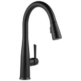Essa Single Handle Pull-Down Kitchen Faucet with Touch<sub>2</sub>O Technology