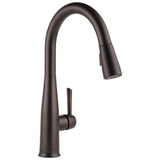 Essa Single Handle Pull-Down Kitchen Faucet with Touch<sub>2</sub>O Technology