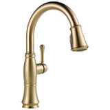 Delta Faucet - CassidyE Single Handle Pulldown Kitchen Faucet - LumicoatÂ® Champagne Bronze