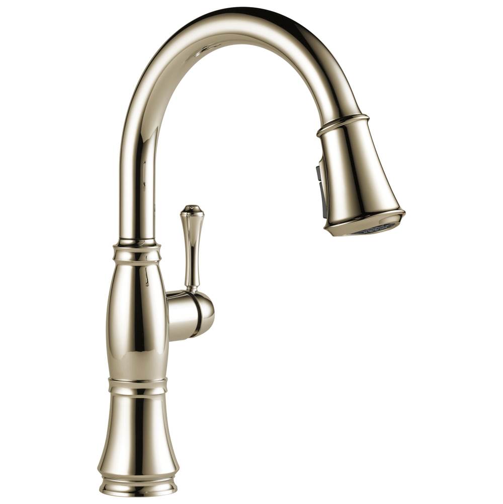 Delta Faucet - CassidyE Single Handle Pulldown Kitchen Faucet - LumicoatÂ® Polished Nickel