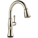 Delta Faucet - CassidyE Single Handle Pull-Down Kitchen Faucet with Touch<sub>2</sub>O and ShieldSpray Technologies - LumicoatÂ® Polished Nickel