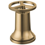 Delta Faucet - Trinsic Handle Kit - Champagne Bronze