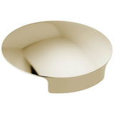 Delta Faucet - Other Glass Rinser Cover - Polished Nickel