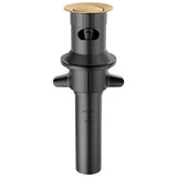 Delta Faucet - Other Plastic Push-Pop with Overflow - Champagne Bronze
