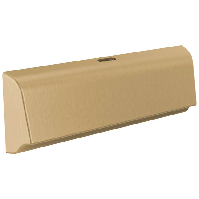 Delta Faucet - Universal Showering Components Unilateral Steam Head - LumicoatÂ® Champagne Bronze