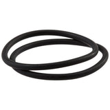 Waterfall O-Rings (2)