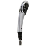 Signature Pullouts Wand Assembly w/ Hose