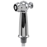 Delta Faucet - Victorian Side Spray & Hose Assembly - Chrome