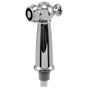 Delta Faucet - Victorian Side Spray & Hose Assembly - Chrome