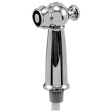 Victorian Side Spray & Hose Assembly