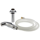 Delta Faucet - Other Side Spray & Hose Assembly - Chrome