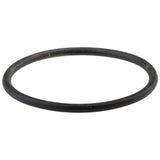 Palo O-Ring - Pull-Out