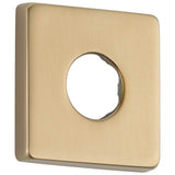Vero Flange - Shower
