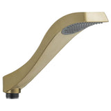 DrydenE Hand Shower - Roman Tub
