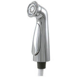 Delta Faucet - CassidyE Side Spray & Hose Assembly - Polished Nickel