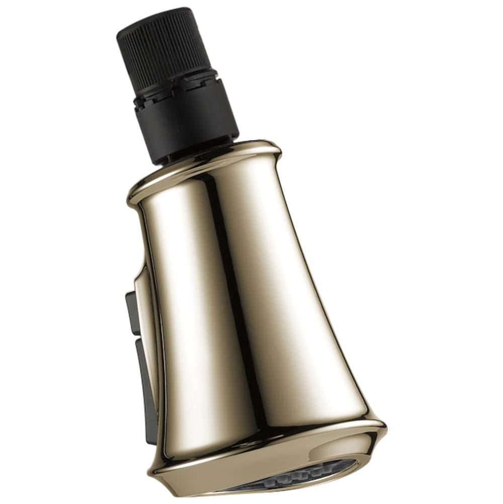 Delta Faucet - CassidyE Wand Assembly - LumicoatÂ® Polished Nickel